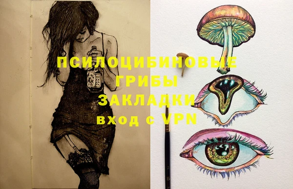 соль курить ск Горняк