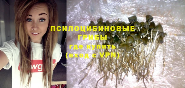 соль курить ск Горняк