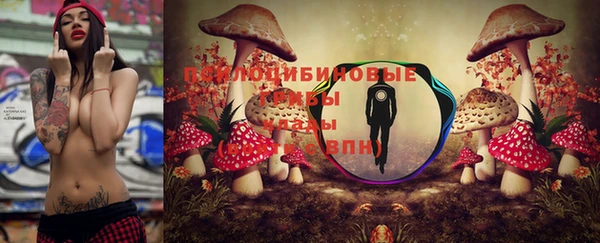 соль курить ск Горняк